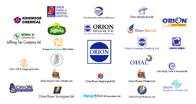 Orion Group Major Concerns