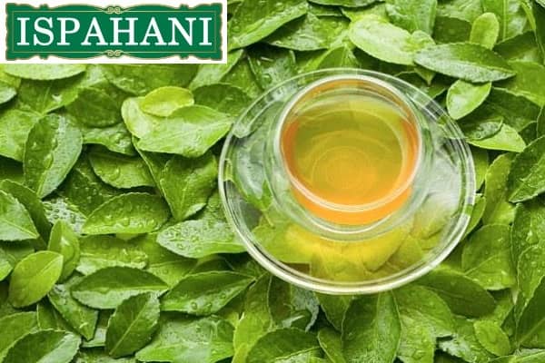 A Cup of Ispahani Mirzapore Tea, A Brand of Ispahani Group